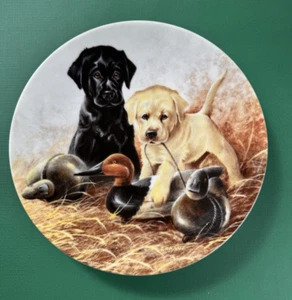 Edwin M Knowles 1988 "A Perfect Set~ Labrador Retrievers" 8.5 in Ltd.Ed Plate - Picture 1 of 9