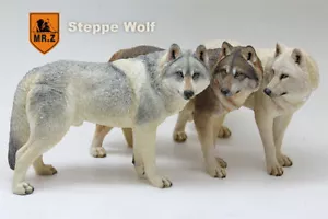 Mr.Z 1/6 Steppe Wolf Model Canis lupus Linnaeus Figure Wild Animal Toy Collector - Picture 1 of 20