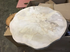 Baumscheibe, Holzscheibe, 65-70 x 5 cm, geschliffen, Tischplatte, Bergahorn - Bild 1 von 1