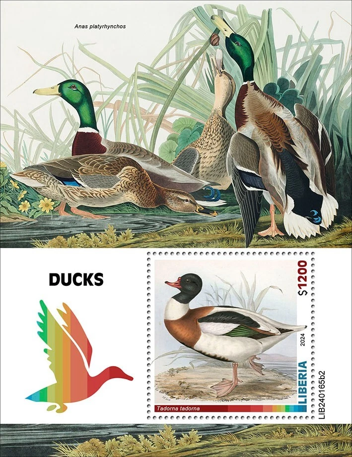 Estampillas de pájaros de patos MNH 2024 Liberia S/S Foto 1 de 1