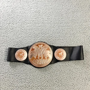 WWE Tag Team World Heavyweight Champion Title Belt Mattel Kids Replica Toy 2010 - Picture 1 of 7