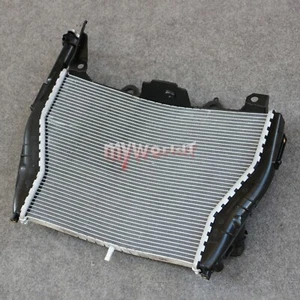 Enfriador radiador refrigeración apto para BMW S1000RR 2017-2018 motocicleta nuevo - Imagen 1 de 4