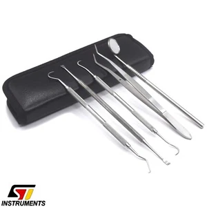 Juego dental de 5 unidades limpieza dental removedor de sarro sonda dental cuidado dental espejo bucal - Imagen 1 de 6