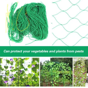 3.6 x 1.8m Garden Plant Climbing Support Net Gardening Netting Plant Growth Net - Picture 1 of 12