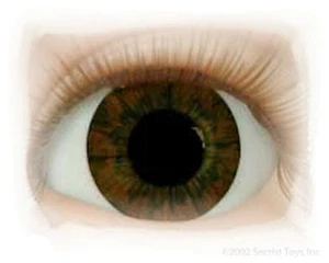 Dark Brown 18 mm Full Round Optical Grade Reborn Doll ~ REBORN DOLL SUPPLIES  - Picture 1 of 2