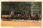 Chicago Union Stock Yard?S Six Horse Team Live Stock Exposition 1927 Postcard