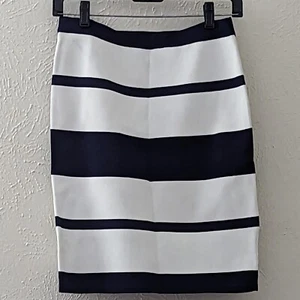 Neiman Marcus Women Blue Stripe Skirt Medium NWT - Picture 1 of 3