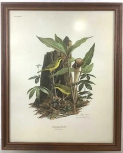 RAY HARM KENTUCKY WARBLER PENCIL SIGNED PRINT FRAME HOUSE GALLERY 22 BY 18 - Picture 1 of 5