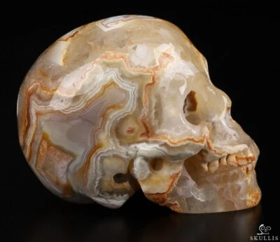 PIEDRA PRECIOSA 1.9" Rojo Encaje Loco Ágata Tallado Cristal Calavera, Realista, Curativo Foto 1 de 4