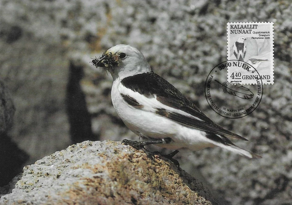 Snow Bunting Bird Plectrophenax nivalis Groenlandia Como Nuevo Maxi FDC 1989 Foto 1 de 1
