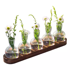 Hydroponic Glass Vase Propagation Station Wood Propagation Plant Desktop Decor - Picture 1 of 11