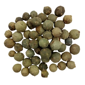 Aleppo Oak Gallnuts Quercus Infectoria | Majuphal Phal Manjakani | Natural Dyes - Picture 1 of 8