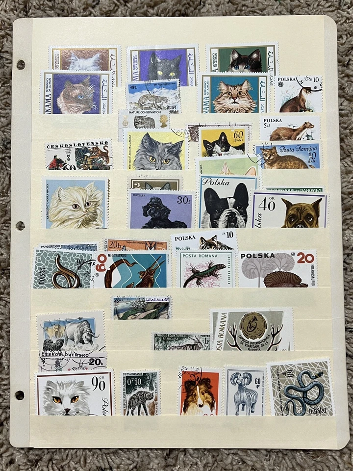 WORLDWIDE ANIMAL STAMPS LOT IN STOCK PAGE REPTILES, CATS, DOGS, HORNED & MORE - Image 1 of 4