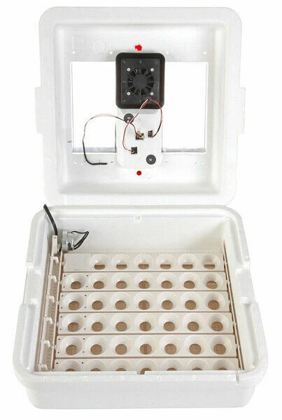 Little Giant 11300 Deluxe Incubator With Egg Turner