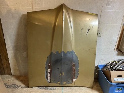 Pontiac Firebird 1967 1968 capó OEM #1 Foto 1 de 4