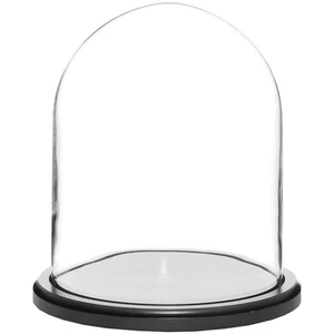 Cúpula de exhibición de vidrio Plymor 8" x 10,25" (base de madera MDF negra) - Imagen 1 de 1