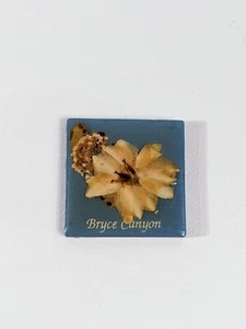 small ceramic tile Bryce canyon real flower fridge magnet - Picture 1 of 4
