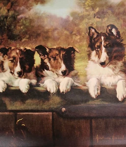Calendario de 3 meses Shell Oil 1942 Collie Puppies de Adelaide Hiebel 17,5" x 9,5" - Imagen 1 de 4