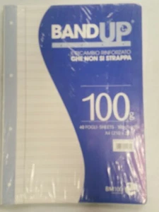 Fogli BandUp A4 Rigo B Rinforzati 3° elementare 100 Gr 40 Fogli 21x30 -PZ 5- - Foto 1 di 2