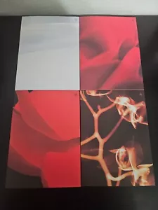 (G)I-DLE - I burn - 4th Mini Album - 4 Version Set - Inclusions Pictured - Picture 1 of 6