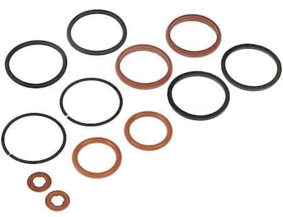 Kit de junta tórica inyector de combustible Dorman 904-206 1999-2003 Ford F350 99-03 Ford F250 Foto 1 de 1