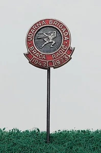 Yugoslavia Army in WW2 - PARTISANS UDARNA BRIGADA BRACA RADIC old pin partisan  - Picture 1 of 2