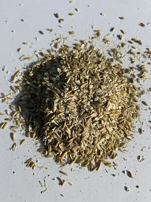 Verkaufe 18 Kg Gequetschten Hafer 2024 - Bild 1 von 4