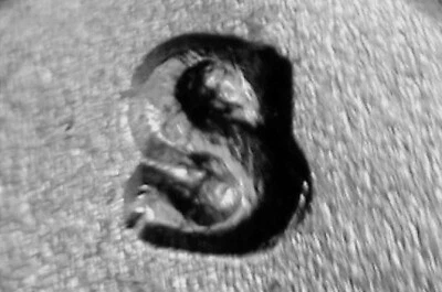 1948s/s RPM #1 BU + Washington Quarter FLASHY LUSTER Silver ERROR Coin NR - Image 1 of 3