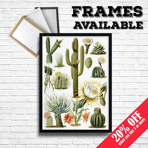 CACTUS PRINT Vintage Botanical Poster Succulent Wall Art Plant Home A3 A4 Frames - Picture 1 of 4