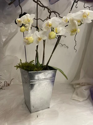 2er Set Blumenübertopf Blumentopf Übertopf Pflanzeimer Zink Dekoration - Bild 1 von 4