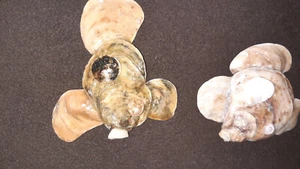 Deko Fische aus Muscheln hergestellt, Badezimmer, Pool Landschaft - Handarbeit - Bild 1 von 6