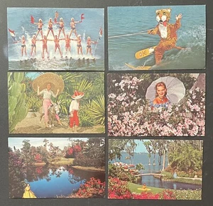 Florida Cypress Gardens Postcard Lot Timmy Tiger Waterski Show Ski Vintage - Picture 1 of 2