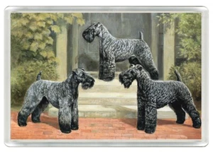 KERRY BLAUER TERRIER HUNDE HUNDE KUNSTDRUCK NEUHEIT KÜHLSCHRANKMAGNET TOLLES GESCHENK - Bild 1 von 1