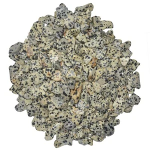 Piedras caídas de jaspe dálmata de 3 libras - Grado 1 - XXSmall - 0,25" a 0,75" promedio - Imagen 1 de 3
