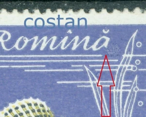 1960 Fish,Zander/Sander/Lucioperca lucioperca,Romania,Mi.1928,VFU,ERROR/8 - Picture 1 of 2