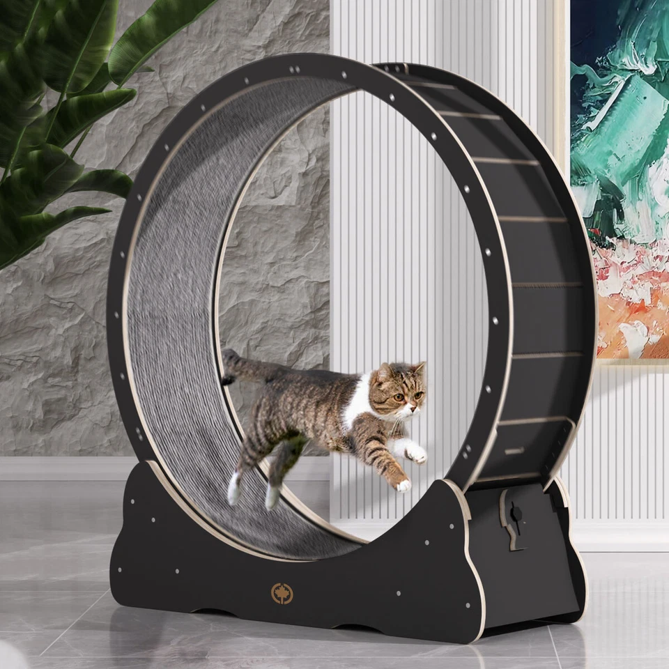 ! 4 Varianten ! CanadianCat - Katzenlaufrad aus Holz - Indoor Katzenrad Laufrad - Bild 1 von 1