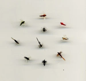 Trout Flies: Micro Dries all size 20 x 10 (code 484) - Picture 1 of 3