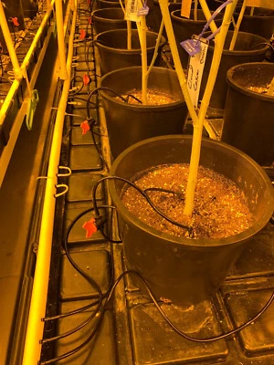 100 Línea de riego por goteo ligeramente usada con válvula de encendido/apagado Foto 1 de 4