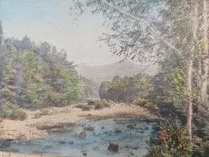 Vintage Signed WALLACE NUTTING River Trees  "The Youth Of The Saco" Unframed  - Picture 1 of 8