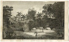 Antique Print-TONGA-COOK-TONGATAPU-Cook-1780