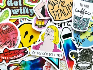 50 Fun Colorful Random Meme Stickers Scrapbooking Journal Skin Lot Decals #CY - Picture 1 of 4