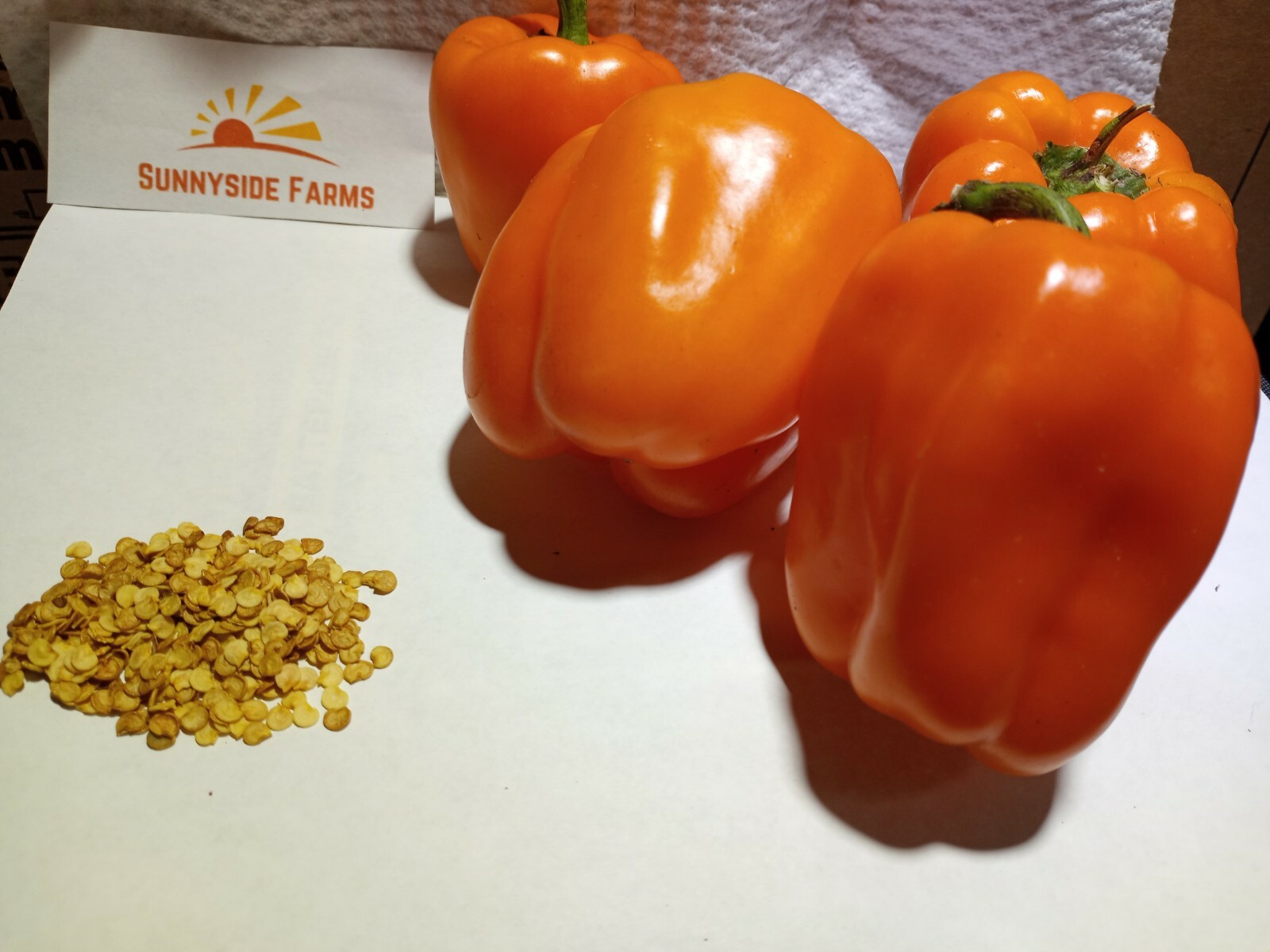 100+ Big Bertha Sweet Pepper Seeds - Heirloom, Non-GMO, Organic, HUGE Peppers!