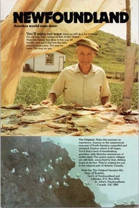 Original Newfoundland Travel Print Ad Vintage 1970s Canadian Tourism - Picture 1 of 1