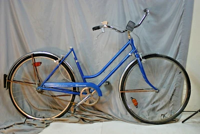 Bicicleta Schwinn Breeze Cruiser 1975 grande 19" 3 velocidades ¡Buje interno Sturmey Archer! Foto 1 de 4