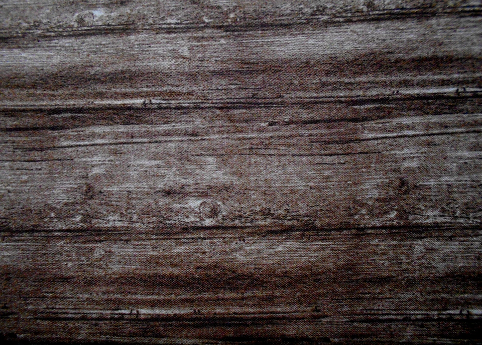 Moda FABRICS# 20005"OUTDOORSY" DARK OAK BTY - Image 1 of 1