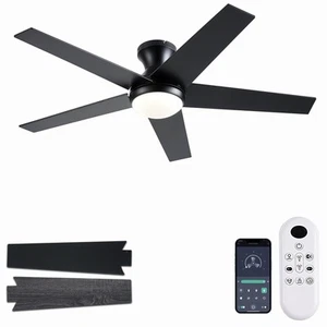 Ayaoty Ceiling Fans with Lights, 48 inch Low Profile Ceiling Fan with Light a... - Picture 1 of 9