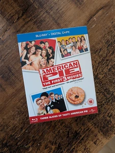 American Pie 1, 2, 3 Boxset + Reunion 1999-2012 - wie neu R2 - Bild 1 von 2