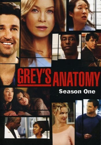 Grey's Anatomy: the Complete First Season (DVD)