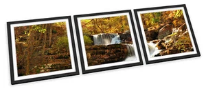 Forest Woodland Waterfall River FRAMED ART PRINTS SET Picture Poster Square - Picture 1 of 5