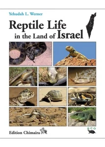 Reptile Life in the Land of Israel Herpetology - Picture 1 of 1